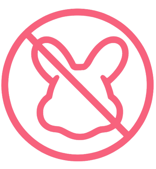 No Animal Products